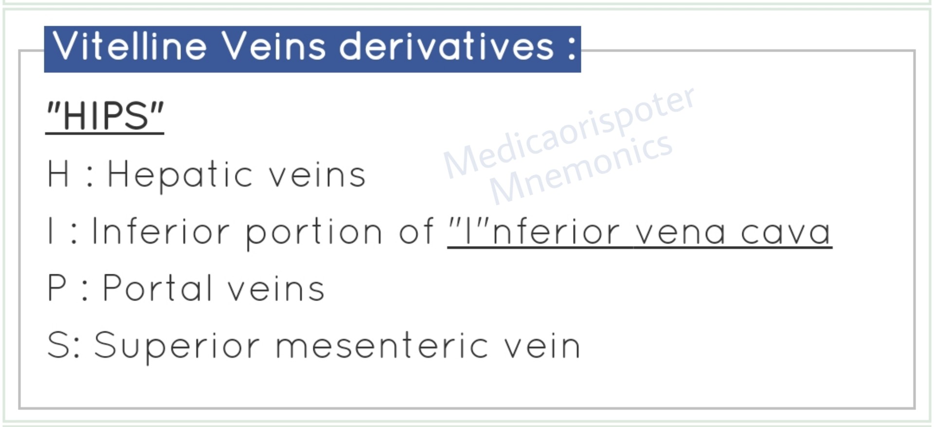 Vitelline Veins Derivatives