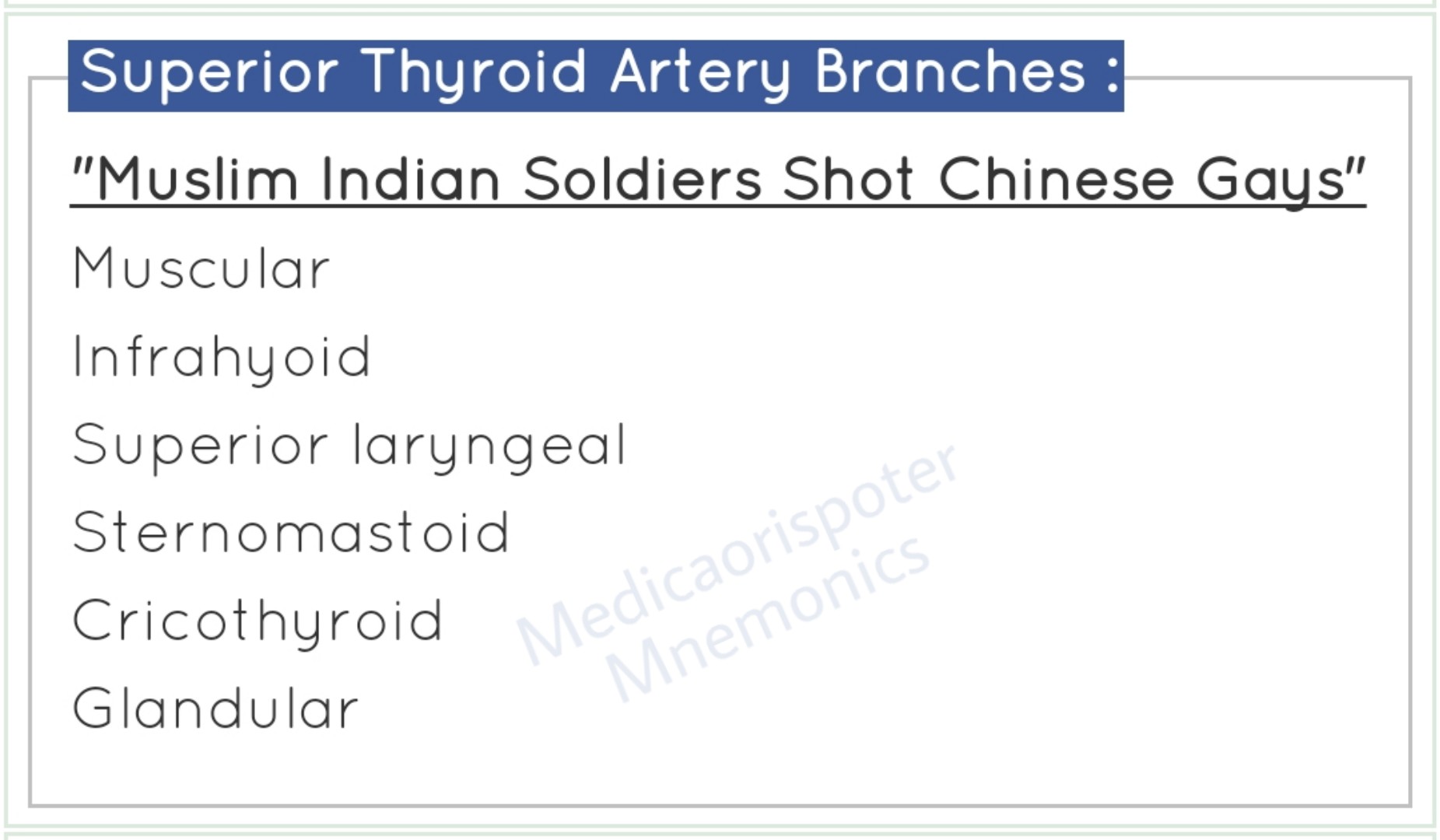 Branches_of_Superior_Thyroid_Artery