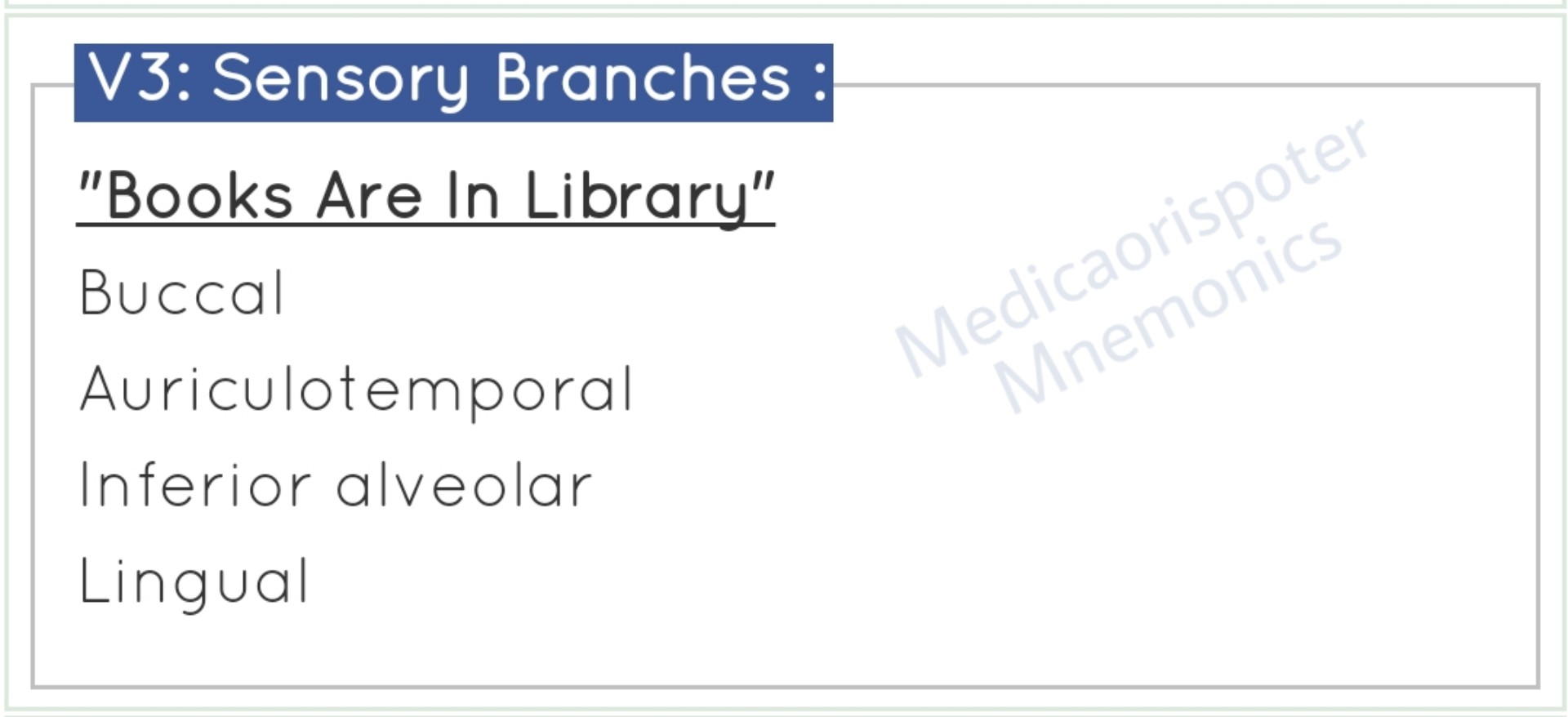 Sensory_Branches_of_V3_Trigeminal_Nerve