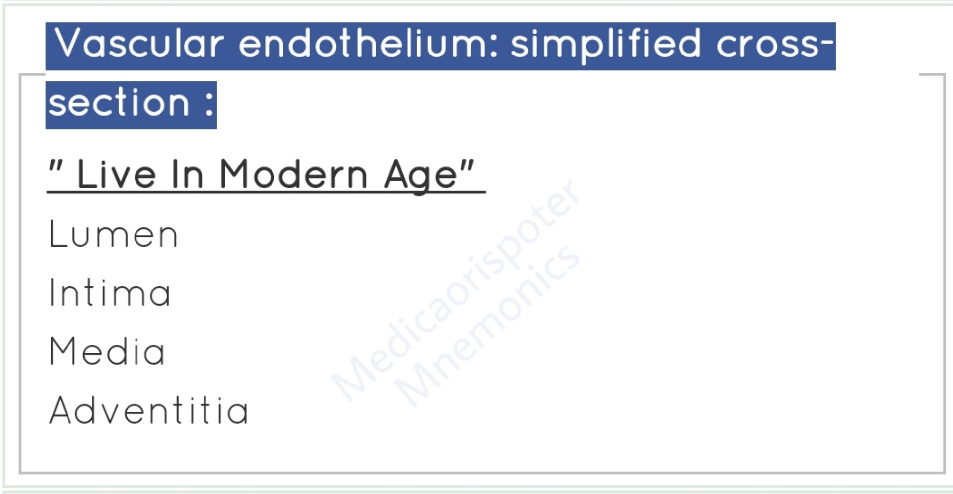 Cross Section of Vascular Endothelium