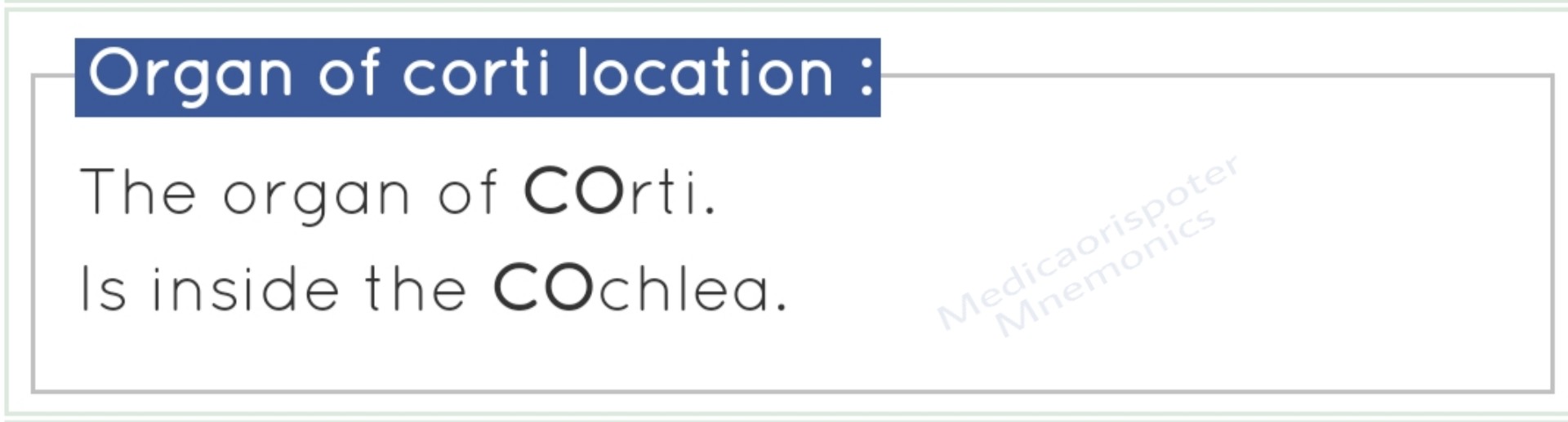 Organ of Corti Location