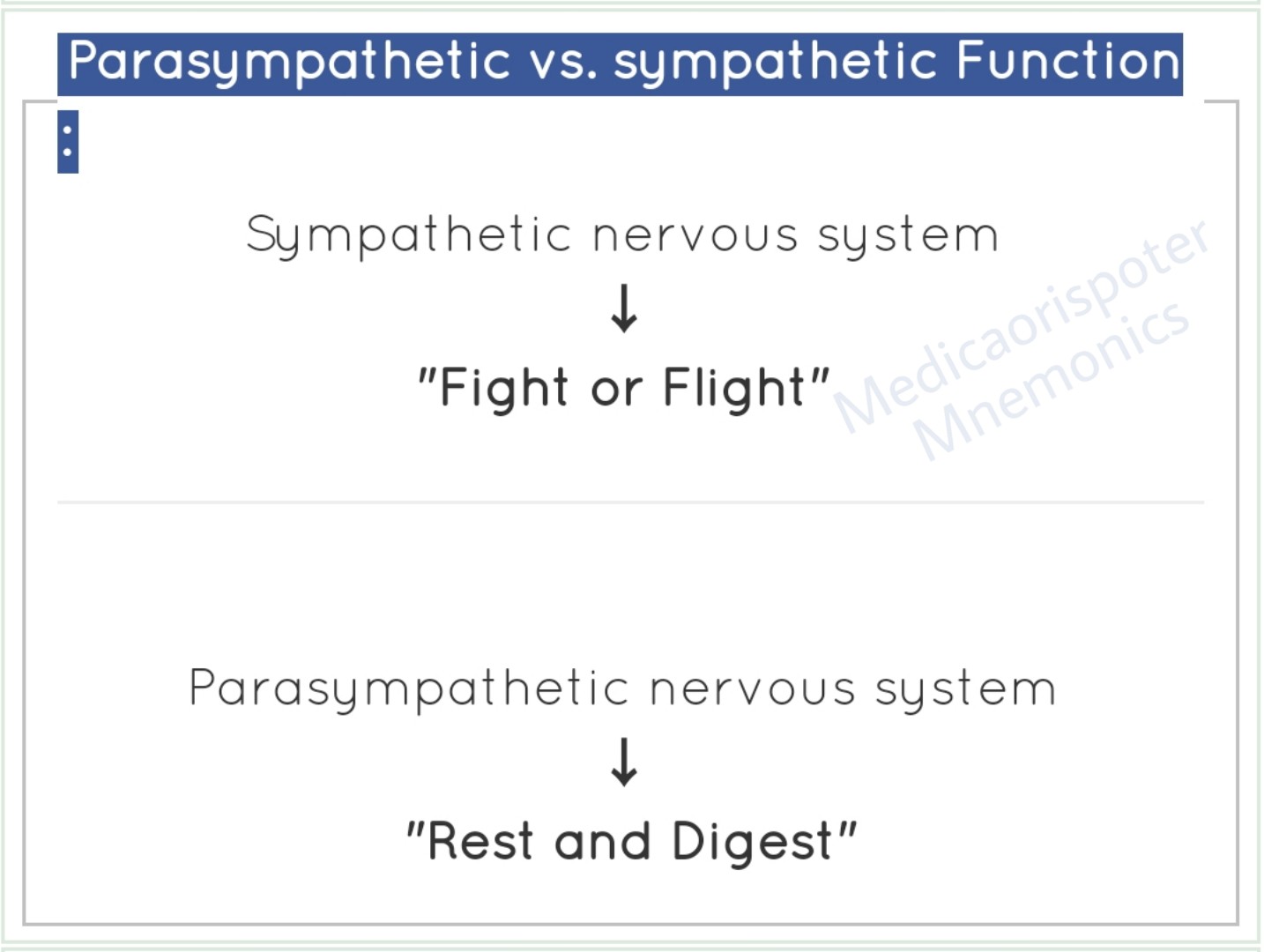 Functions of Sympathetic vs Parasympathetic