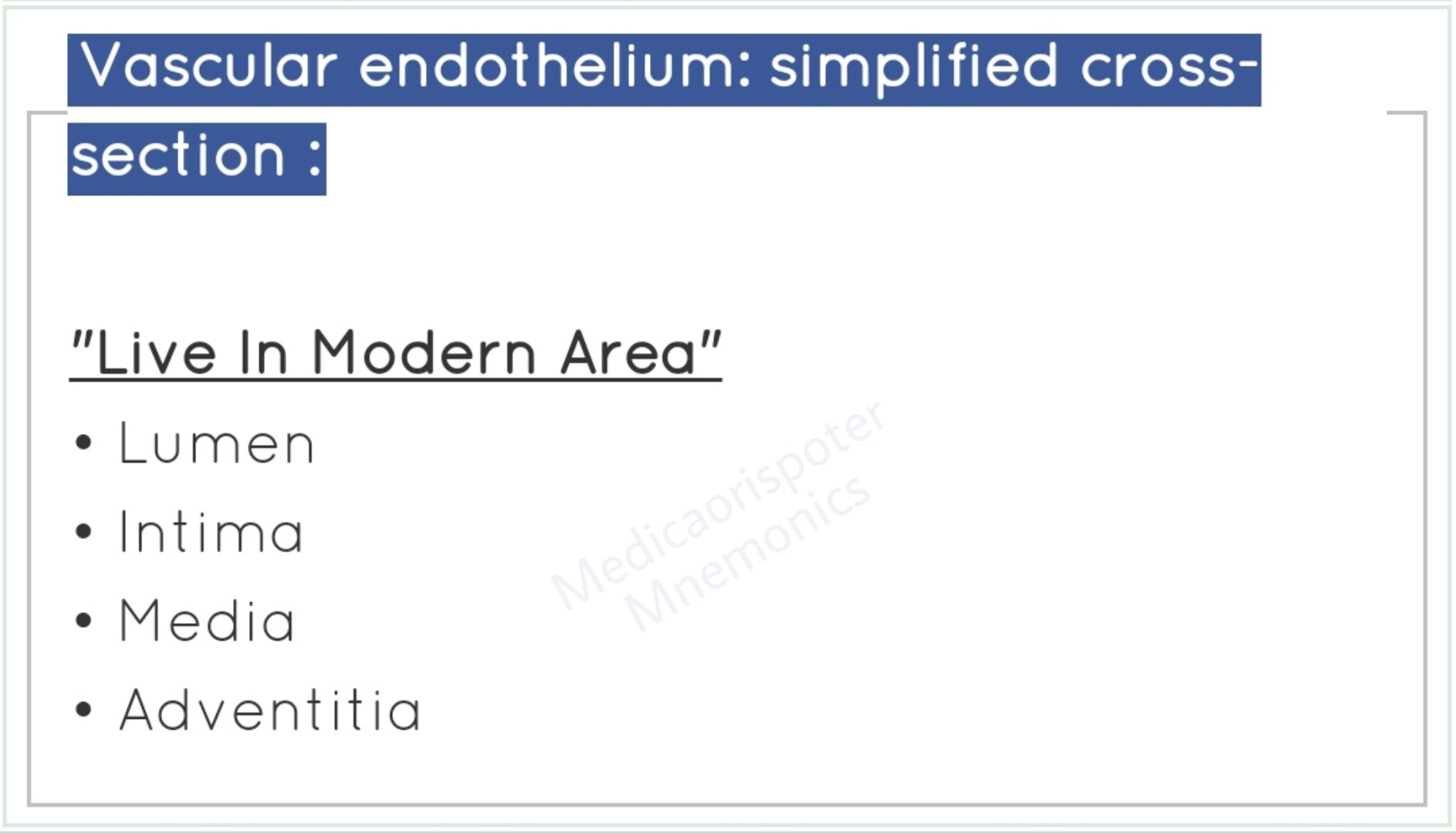 Crossed Section of Vascular Endothelium